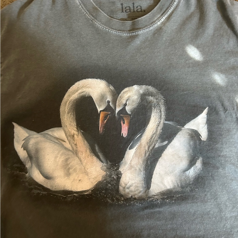 Dressed in lala swan shirt